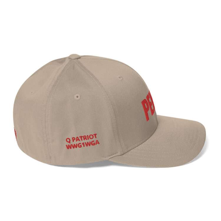 RIGHT Baseball hat PENNEY front, Q PATRIOT over WWG1WGA on right side, PENNEY on back, small middle, American flag on left side; this hat is tan , it is available multicam camo, red, whiteblue, , grey, charcoal, tricolor camouflage, black - Michael J. Penney Store