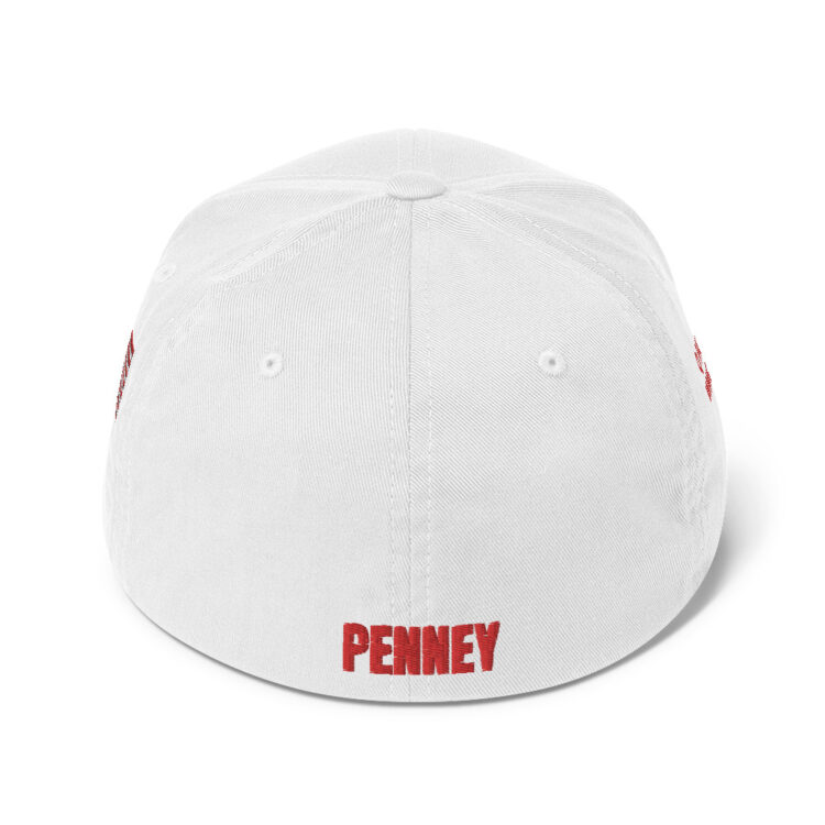 BACK Baseball hat PENNEY front, Q PATRIOT over WWG1WGA on right side, PENNEY on back, small middle, American flag on left side; this hat is white , it is available multicam camo, red, blue, tan, grey, charcoal, tricolor camouflage, black - Michael J. Penney Store