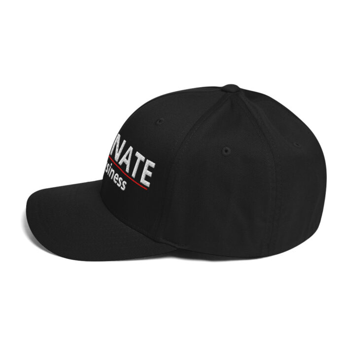 DOMINATE your business - Structured Twill Cap - Image 2